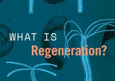 What is Regeneration book cover image