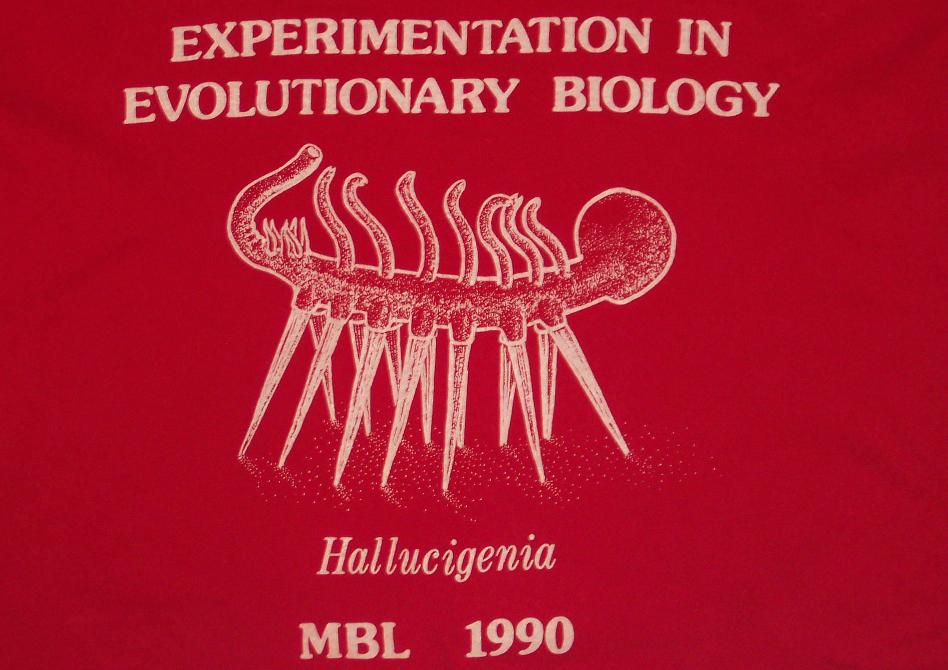 MBL TShirt (front) from 1990