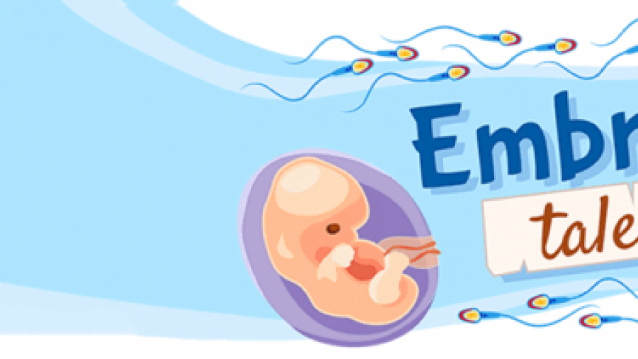 Embryo tales