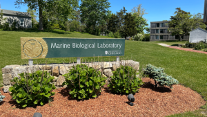 Photo of MBL Sign