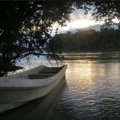 boat on the water at sunset with trees next to it.