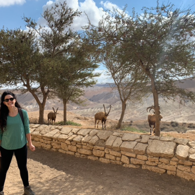 Rachel with some Ibex in the Negev desert, where my PhD university was based