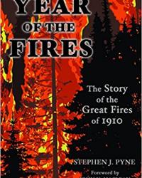 Book Cover image for Year of the Fires