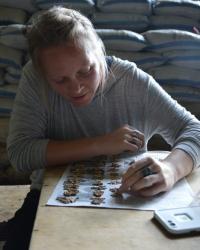 Photo of Paige Madison sorting rat bones