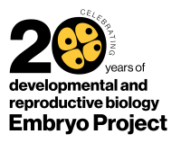 EP 20th anniversary logo