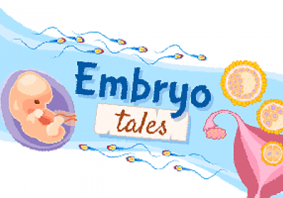 Embryo tales on Ask A Biologist