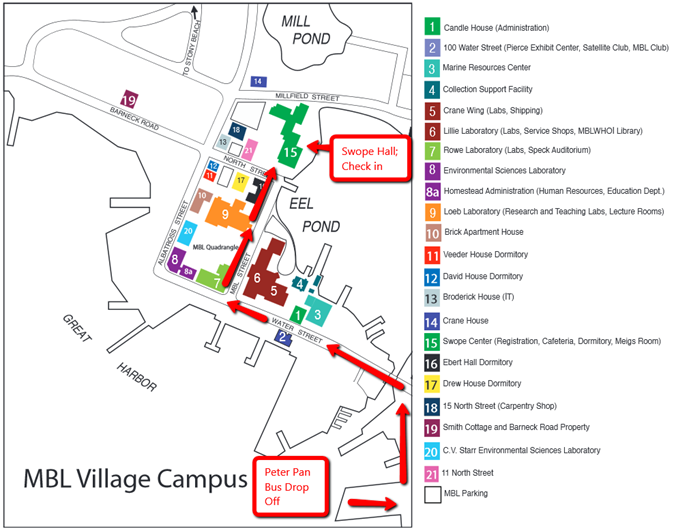 MBL Village bus line