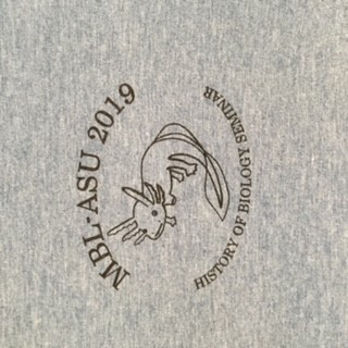 photo of the 2019 MBL-ASU shirt