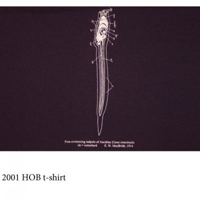 MBL t-shirt