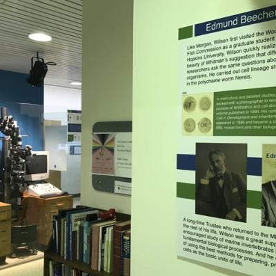 photo of the Seeing Cells Exhibit