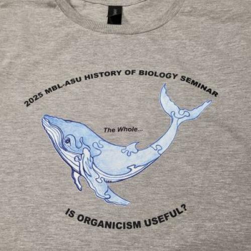 Photo of the front of the 2025 HOB t-shirt