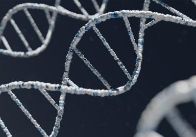dna