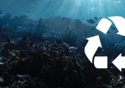 Erin Murphy photo and recycle symbol