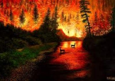 Picture of fire