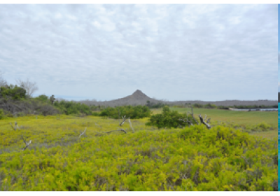 Galapagos Islands Photos