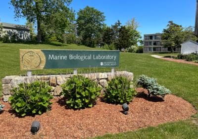 Photo of MBL Sign