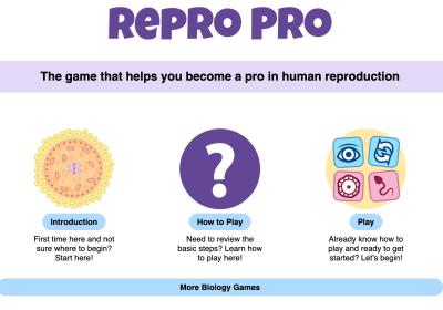Repro Pro Graphic